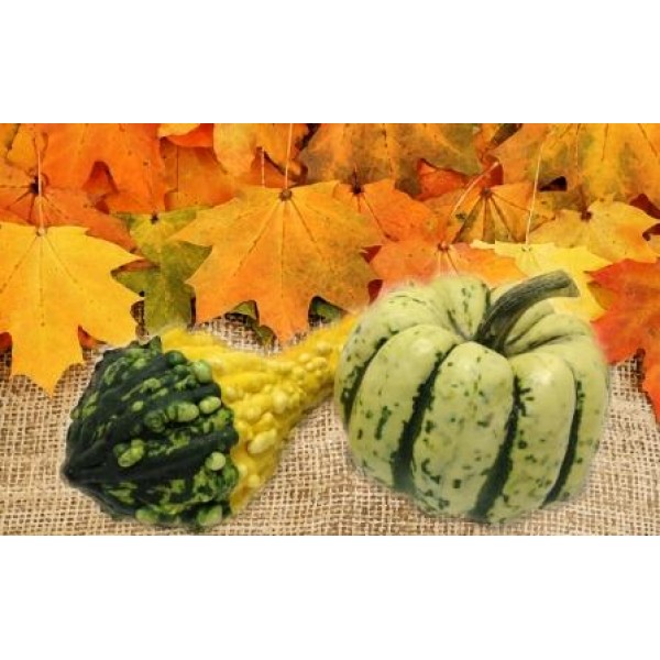 Декупажная карта А4 DDKM0455 / № DDKM0455 Декупажная карта А4 DDKM0455 / № DDKM0455