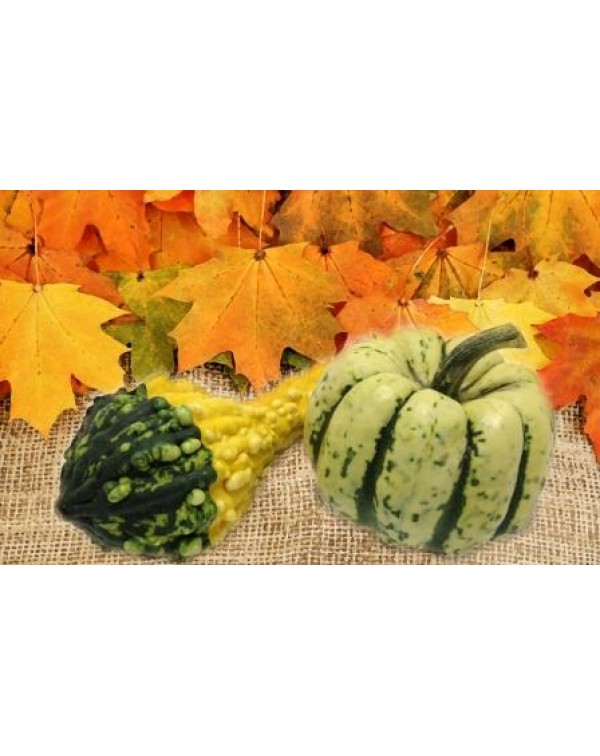 Декупажная карта А4 DDKM0455 / № DDKM0455 Декупажная карта А4 DDKM0455 / № DDKM0455