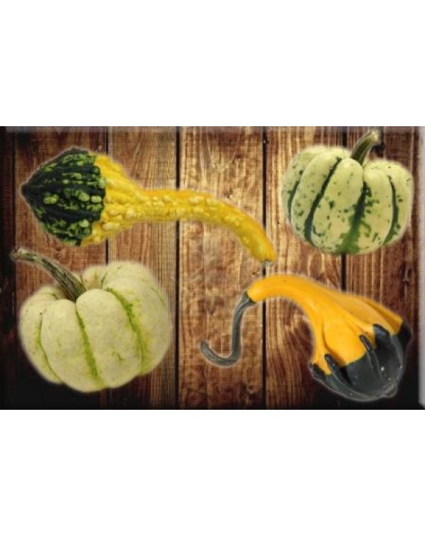 Декупажная карта А4 DDKM0453 / № DDKM0453