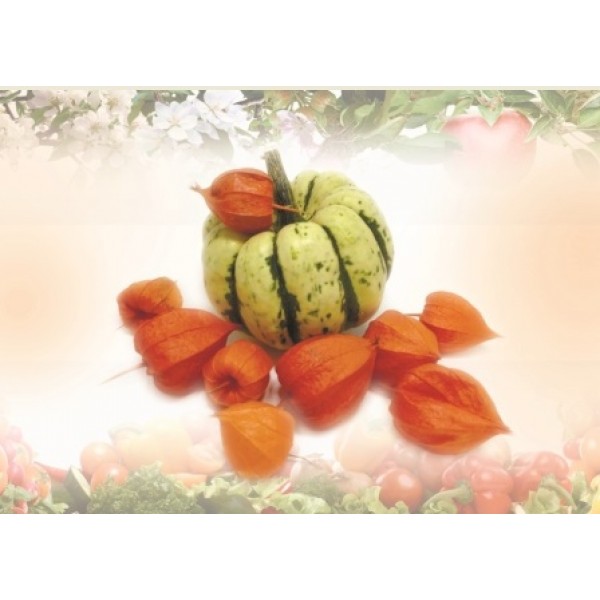 Декупажная карта А4 DDKM0448 / № DDKM0448