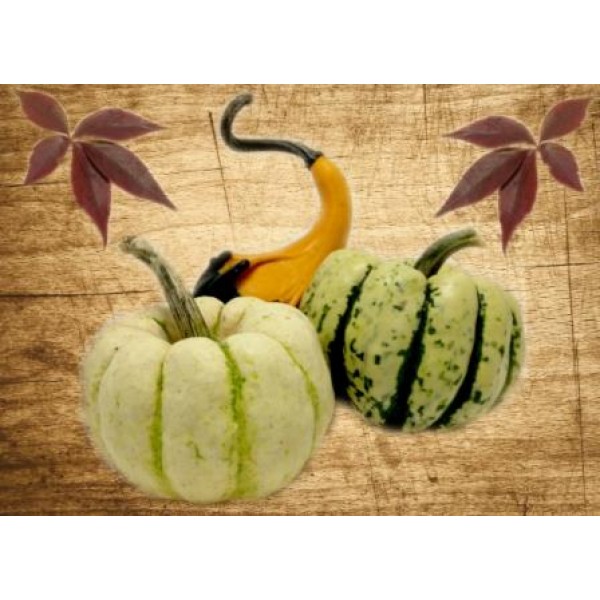 Декупажная карта А4 DDKM0449 / № DDKM0449