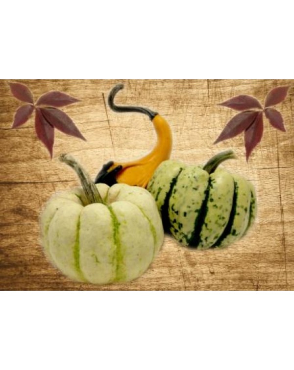 Декупажная карта А4 DDKM0449 / № DDKM0449 Декупажная карта А4 DDKM0449 / № DDKM0449