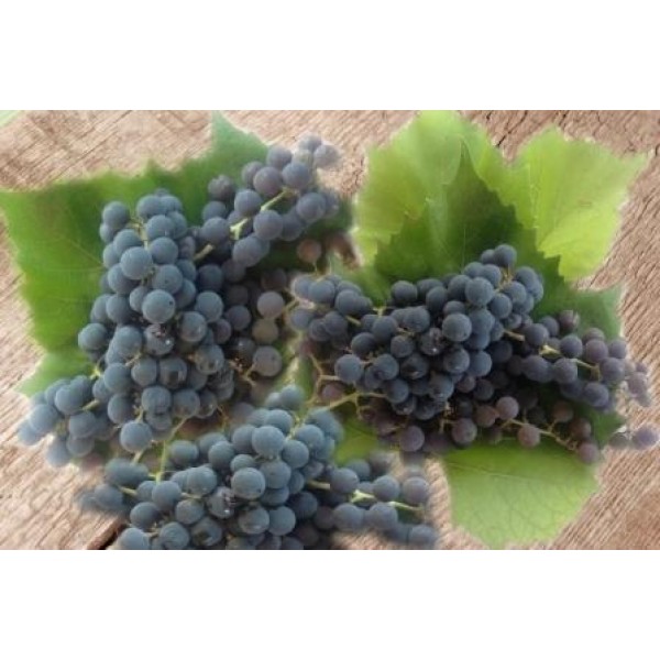 Декупажная карта А4 DDKM0450 / № DDKM0450 Декупажная карта А4 DDKM0450 / № DDKM0450