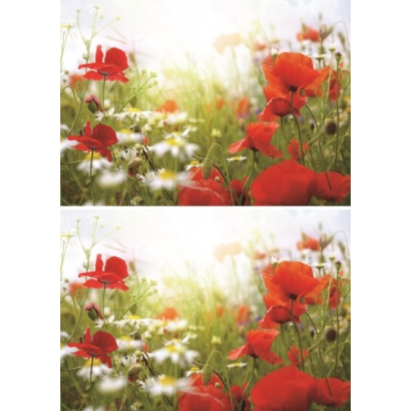 Декупажная карта А4 DDKM1084 / № DDKM1084 Декупажная карта А4 DDKM1084 / № DDKM1084