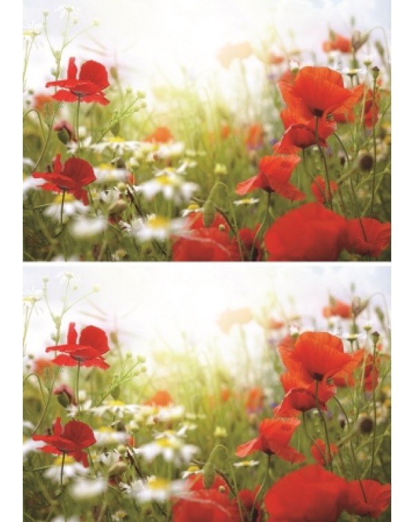 Декупажная карта А4 DDKM1084 / № DDKM1084