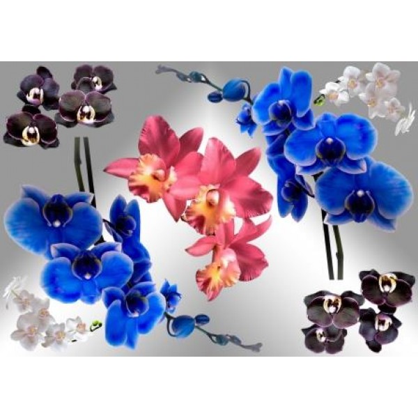 Декупажная карта А4 DDKM0909 / № DDKM0909 Декупажная карта А4 DDKM0909 / № DDKM0909