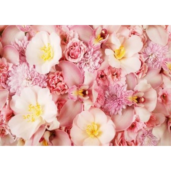 Декупажная карта А4 DDKM0913 / № DDKM0913 Декупажная карта А4 DDKM0913 / № DDKM0913