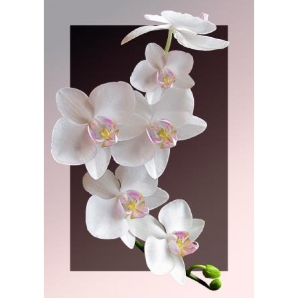 Декупажная карта А4 DDKM0904 / № DDKM0904 Декупажная карта А4 DDKM0904 / № DDKM0904