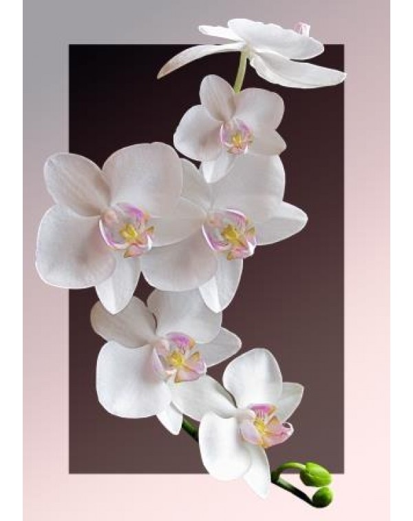 Декупажная карта А4 DDKM0904 / № DDKM0904