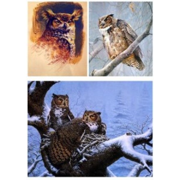 Декупажная карта А4 DDKM1116 / № DDKM1116 Декупажная карта А4 DDKM1116 / № DDKM1116