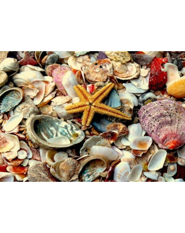 Декупажная карта DDKM0943 / № DDKM0943 Декупажная карта DDKM0943 / № DDKM0943