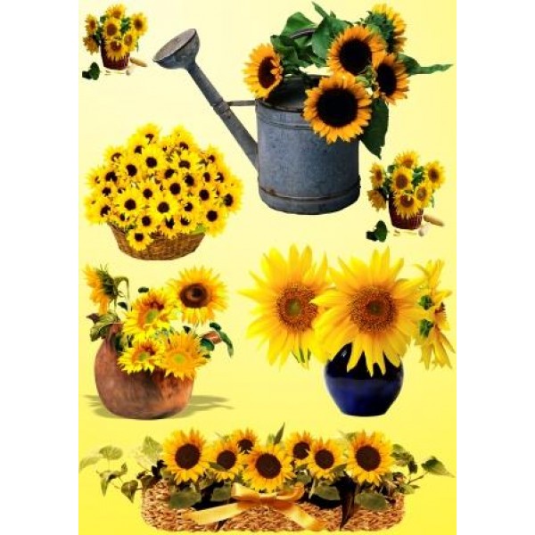 Декупажная карта А4 DDKM0626 / № DDKM0626 Декупажная карта А4 DDKM0626 / № DDKM0626