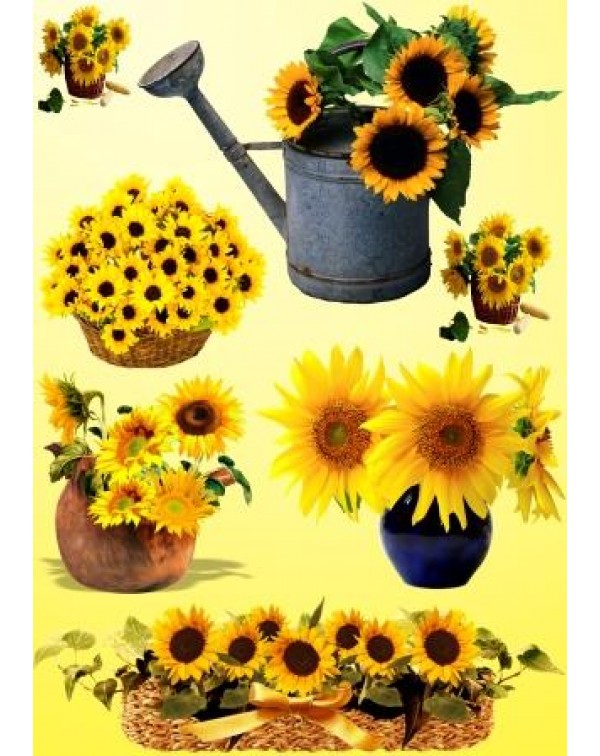 Декупажная карта А4 DDKM0626 / № DDKM0626 Декупажная карта А4 DDKM0626 / № DDKM0626