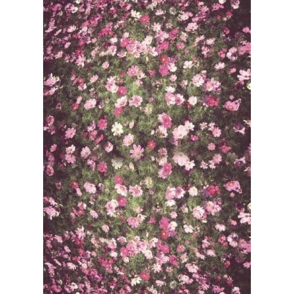 Декупажная карта А4 DDKM1106 / № DDKM1106 Декупажная карта А4 DDKM1106 / № DDKM1106