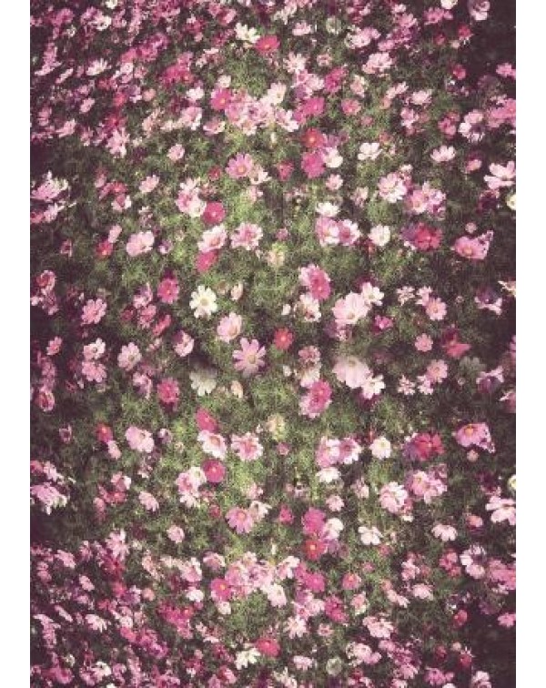 Декупажная карта А4 DDKM1106 / № DDKM1106 Декупажная карта А4 DDKM1106 / № DDKM1106