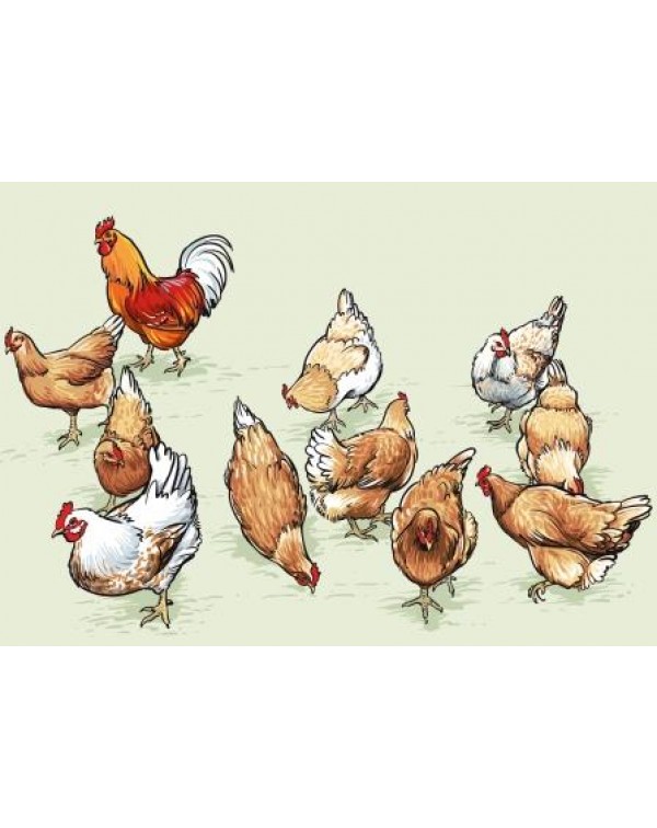 Декупажная карта А4 DDKM0841 / № DDKM0841 Декупажная карта А4 DDKM0841 / № DDKM0841